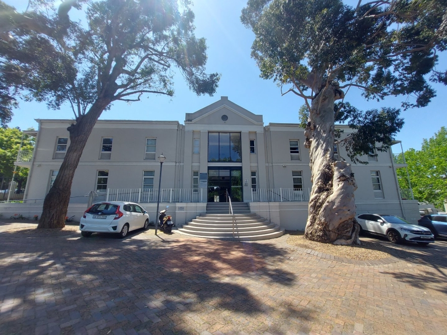 To Let commercial Property for Rent in Rondebosch Western Cape